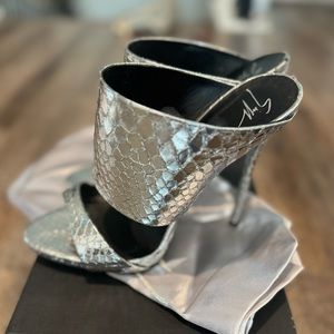 Giuseppe zanotti slides